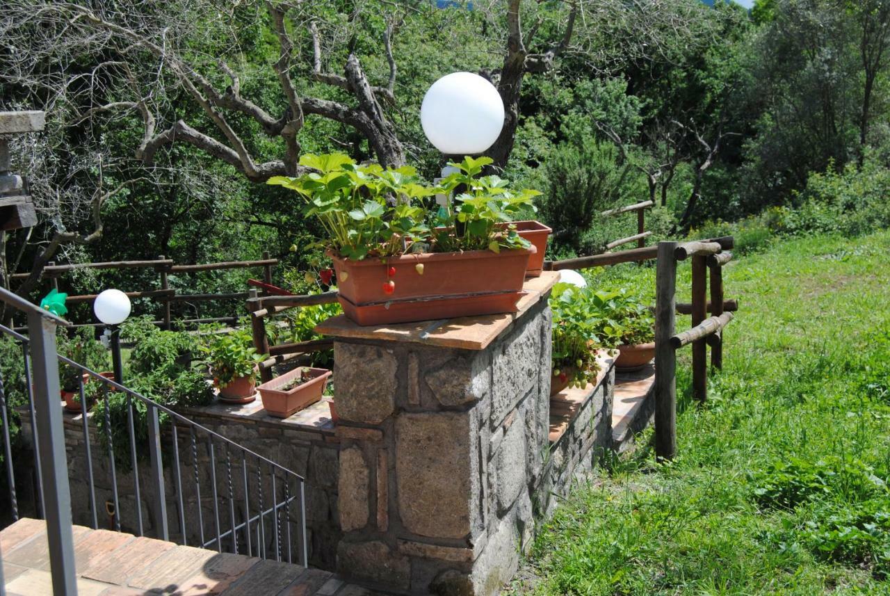 Villa Farfalla Bianca Vitorchiano Buitenkant foto